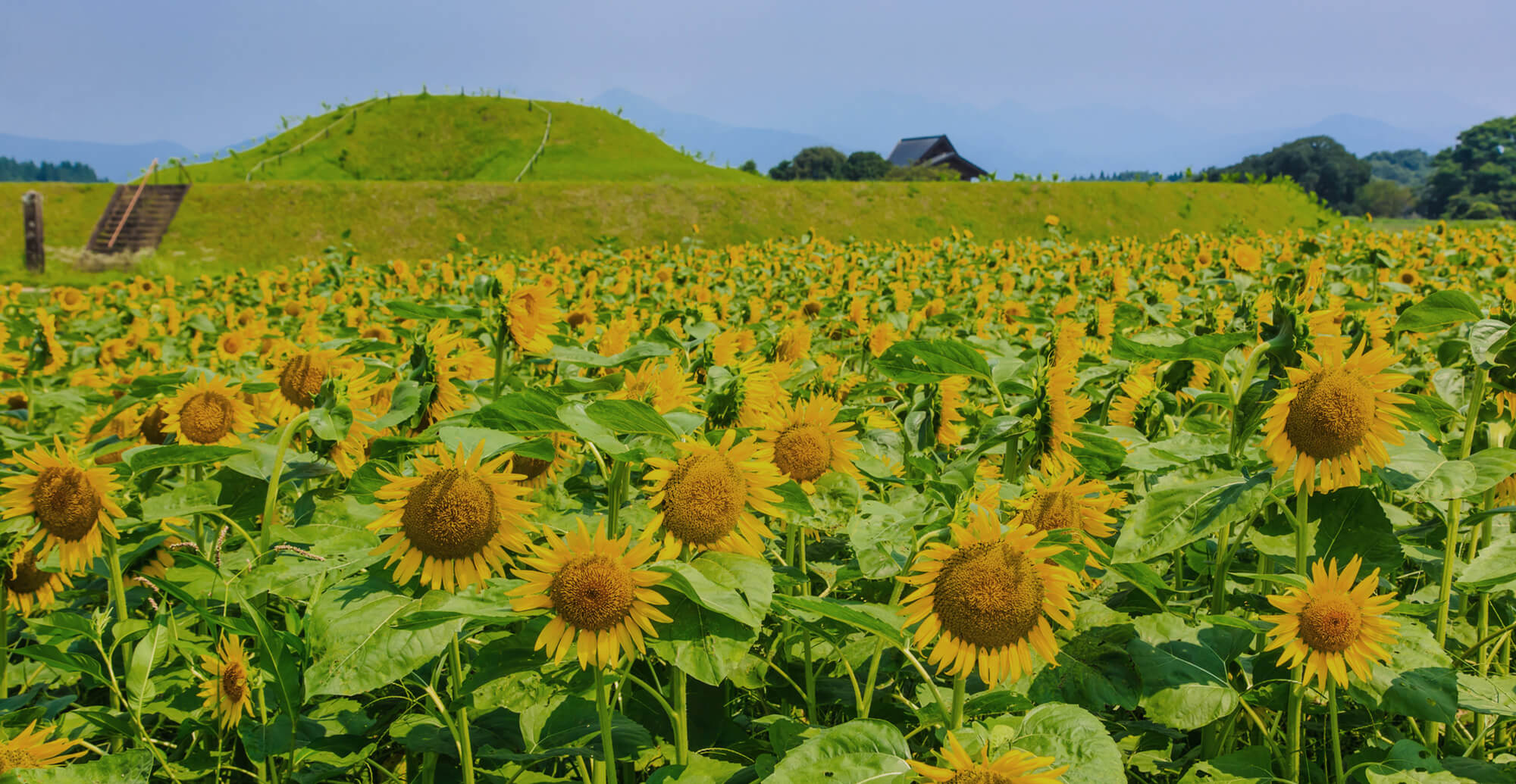 農業を支えるパートナー 農業器具の設置・メンテナンスならアグリサポート宮崎
