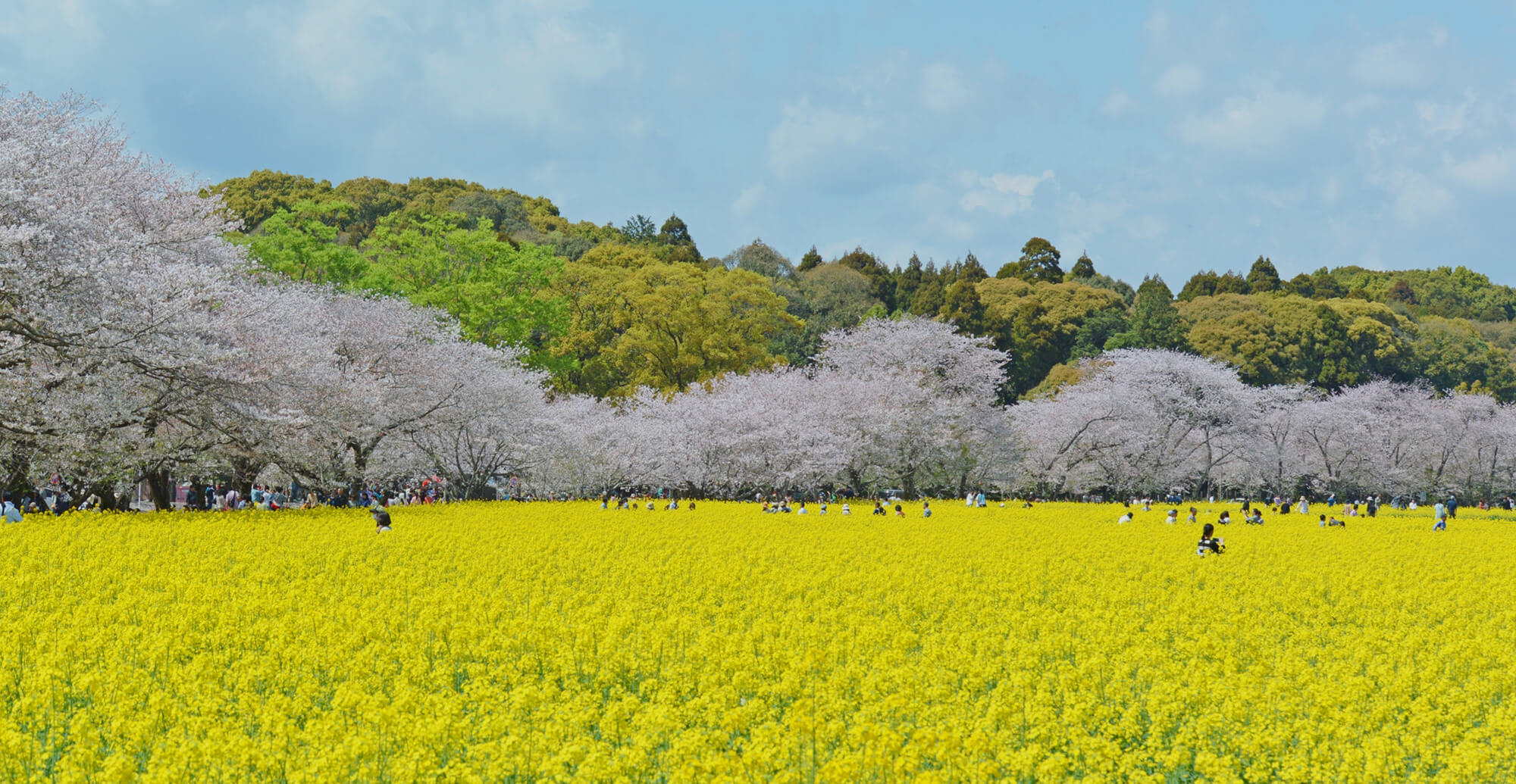 農業を支えるパートナー 農業器具の設置・メンテナンスならアグリサポート宮崎