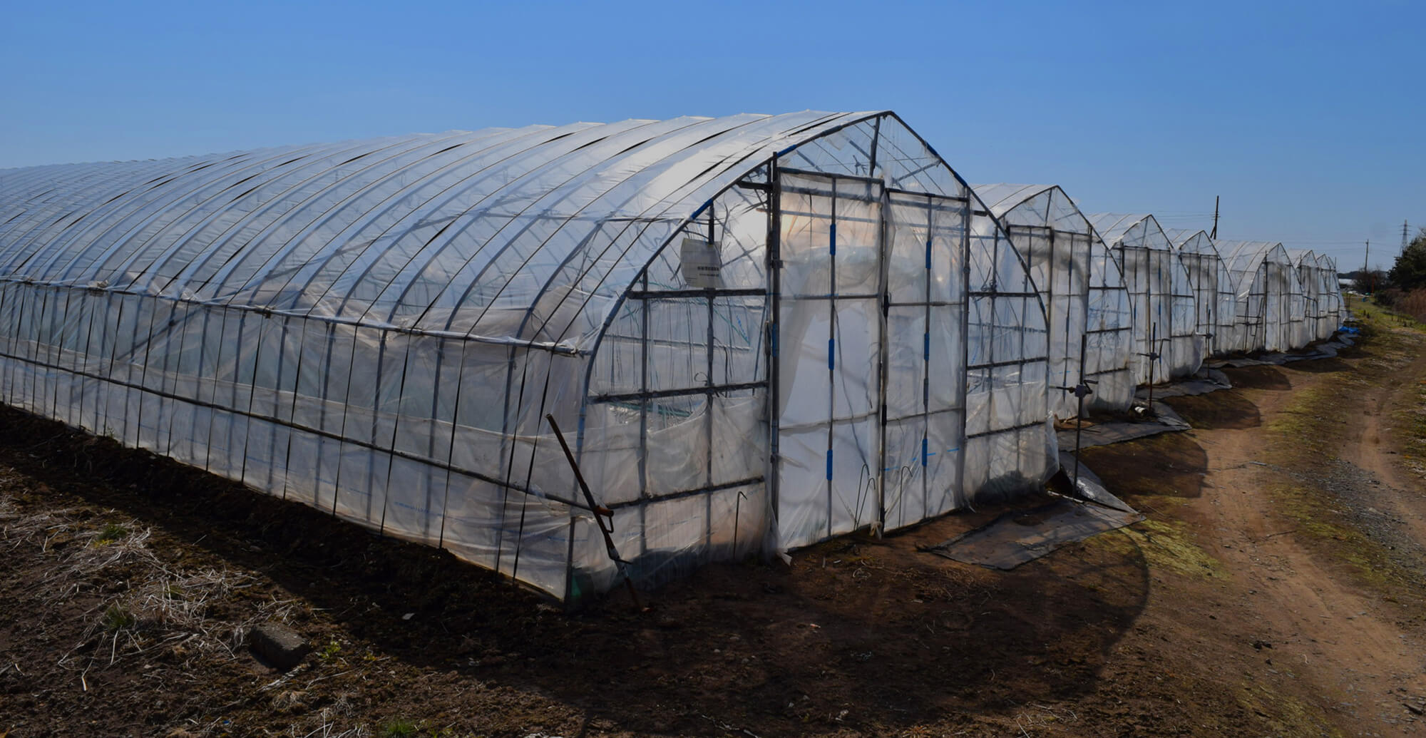 農業を支えるパートナー 農業器具の設置・メンテナンスならアグリサポート宮崎